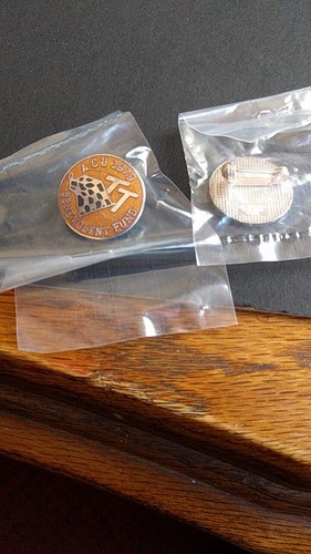 Isle man badge 1979 - man, tt